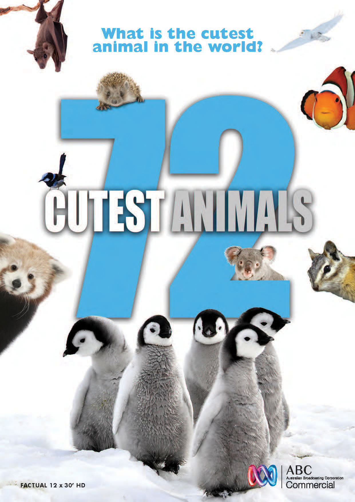72 Cutest Animals ne zaman