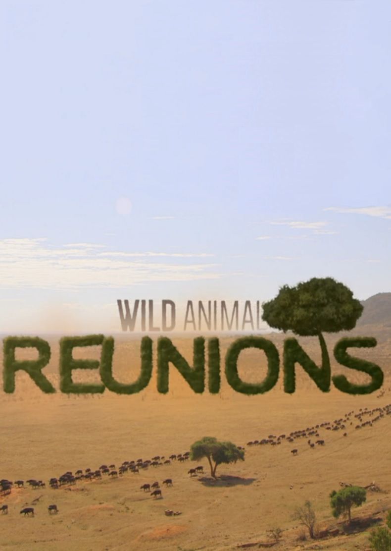 Wild Animal Reunions ne zaman