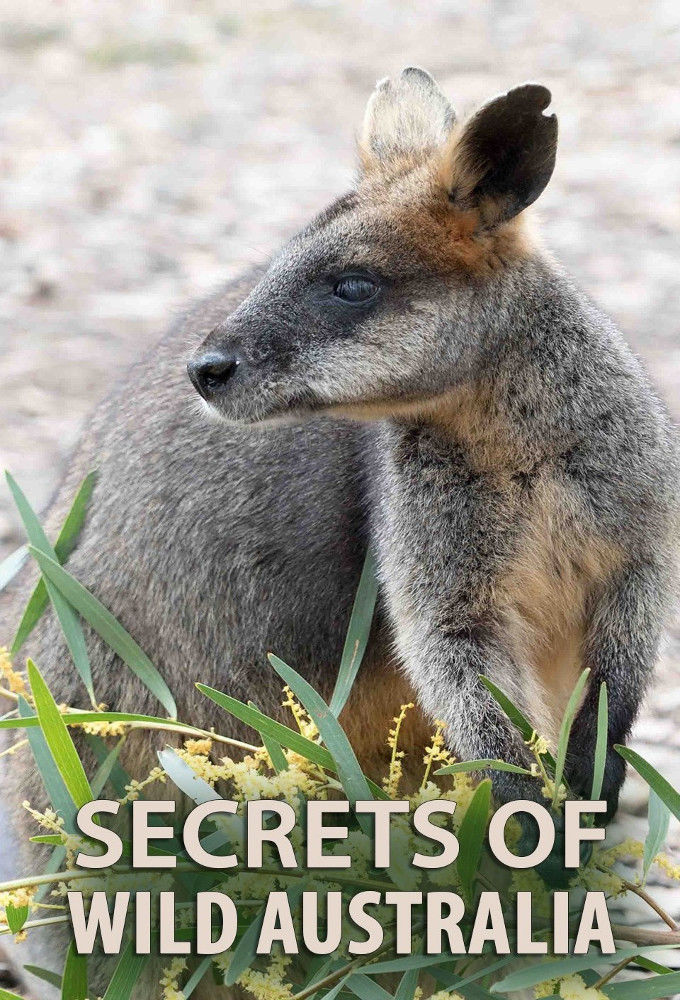 Secrets of Wild Australia ne zaman