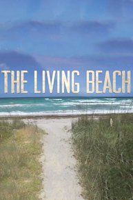 The Living Beach ne zaman
