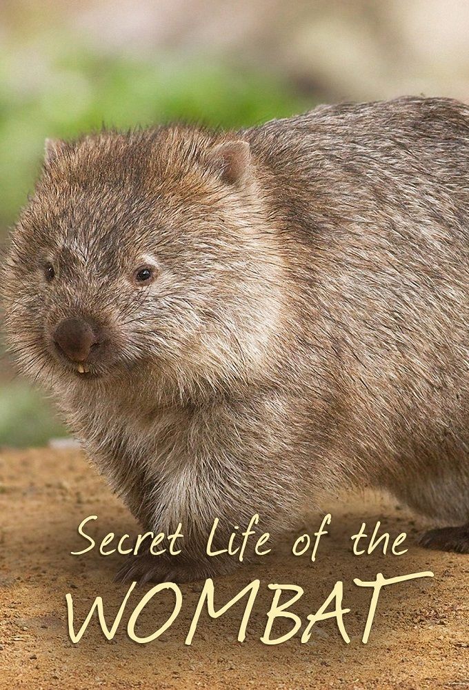Secret Life of the Wombat ne zaman