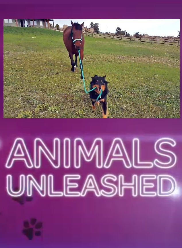 Animals Unleashed ne zaman