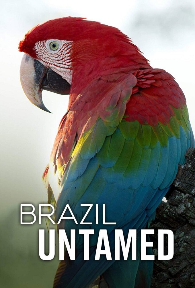 Brazil Untamed ne zaman