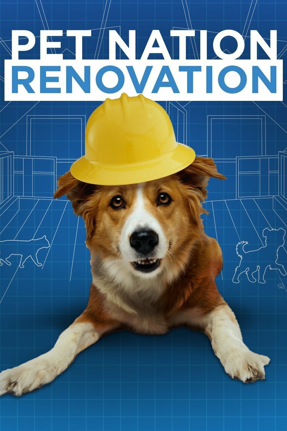 Pet Nation Renovation ne zaman