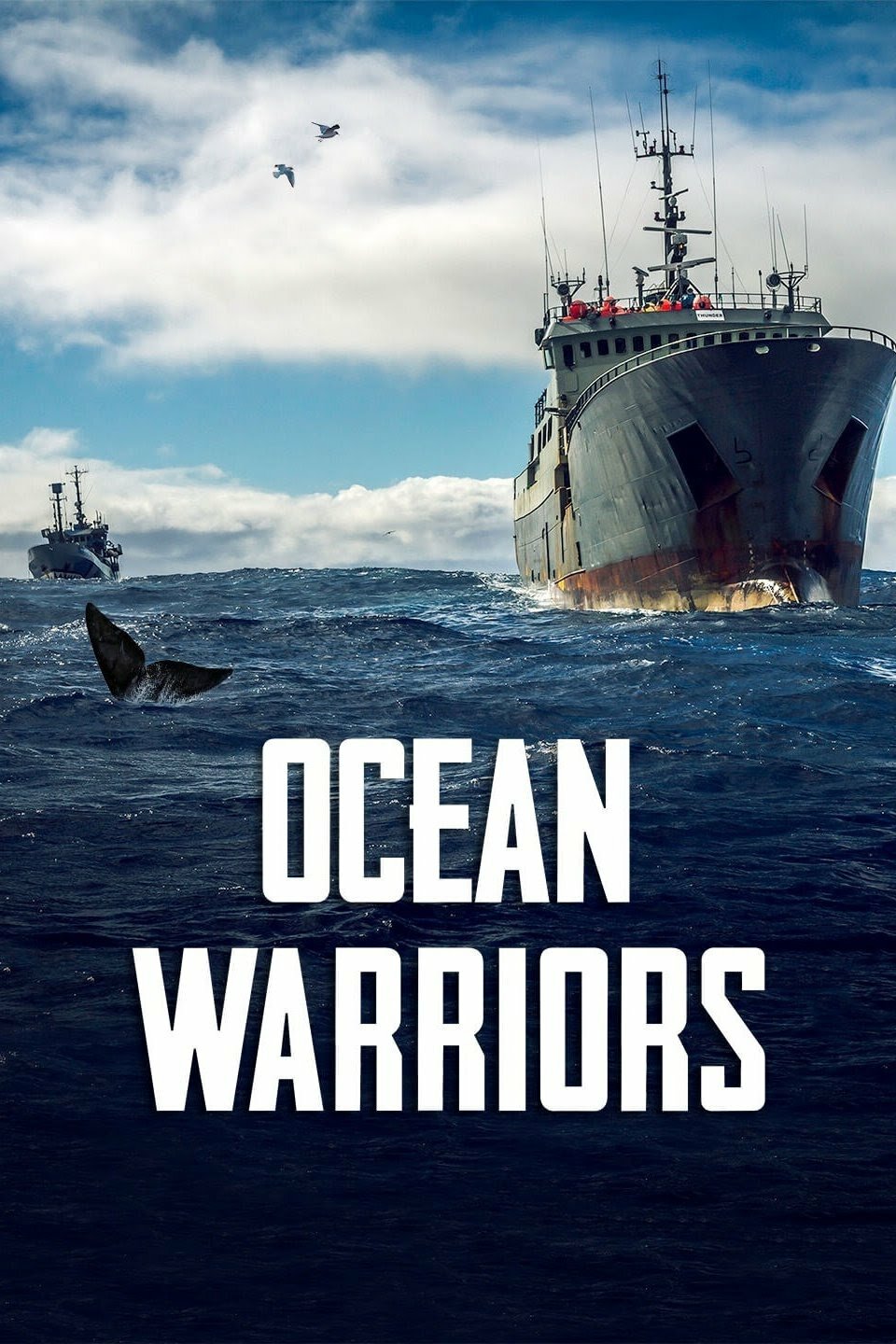 Ocean Warriors ne zaman