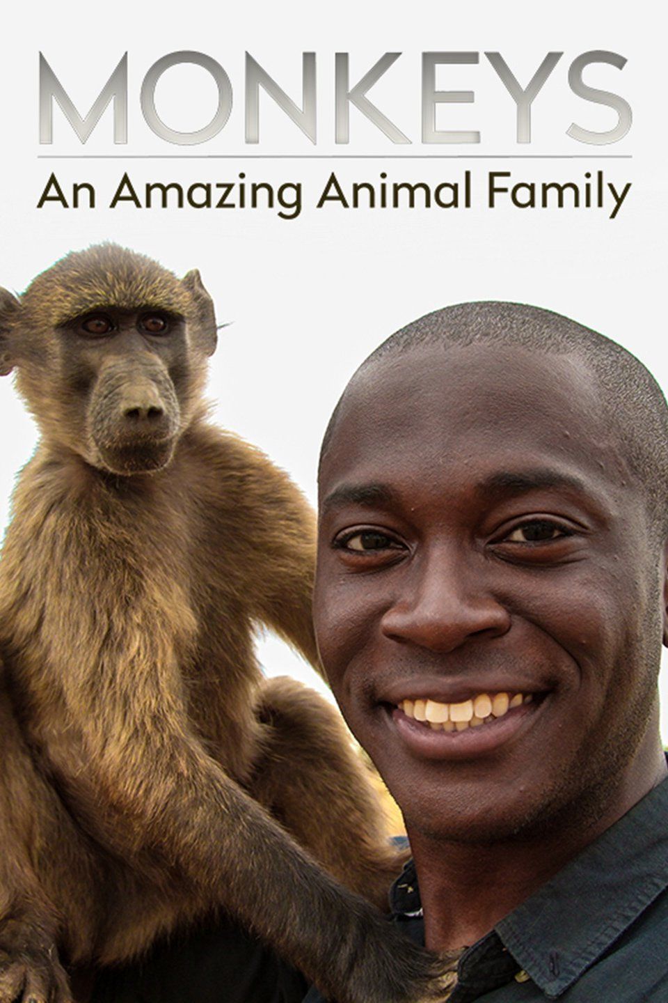 Monkeys: An Amazing Animal Family ne zaman