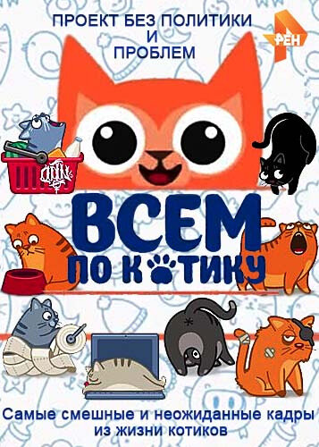 Всем по котику ne zaman