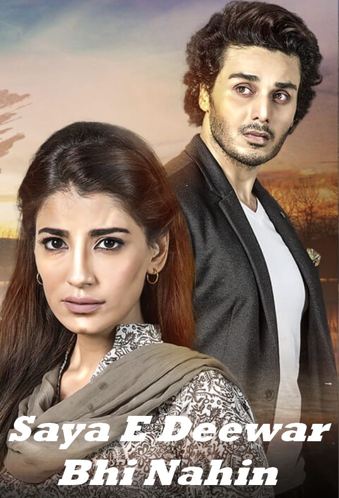 Saya-E-Deewaar Bhi Nahin ne zaman