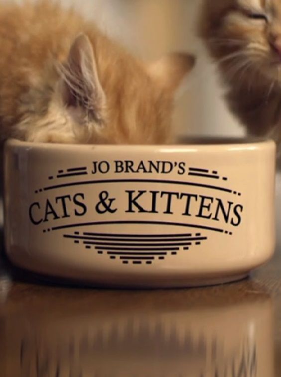 Jo Brand's Cats and Kittens ne zaman