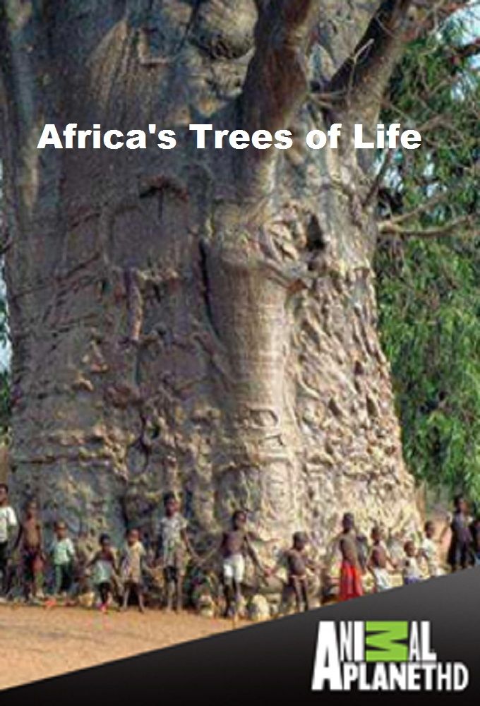 Africa's Trees of Life ne zaman