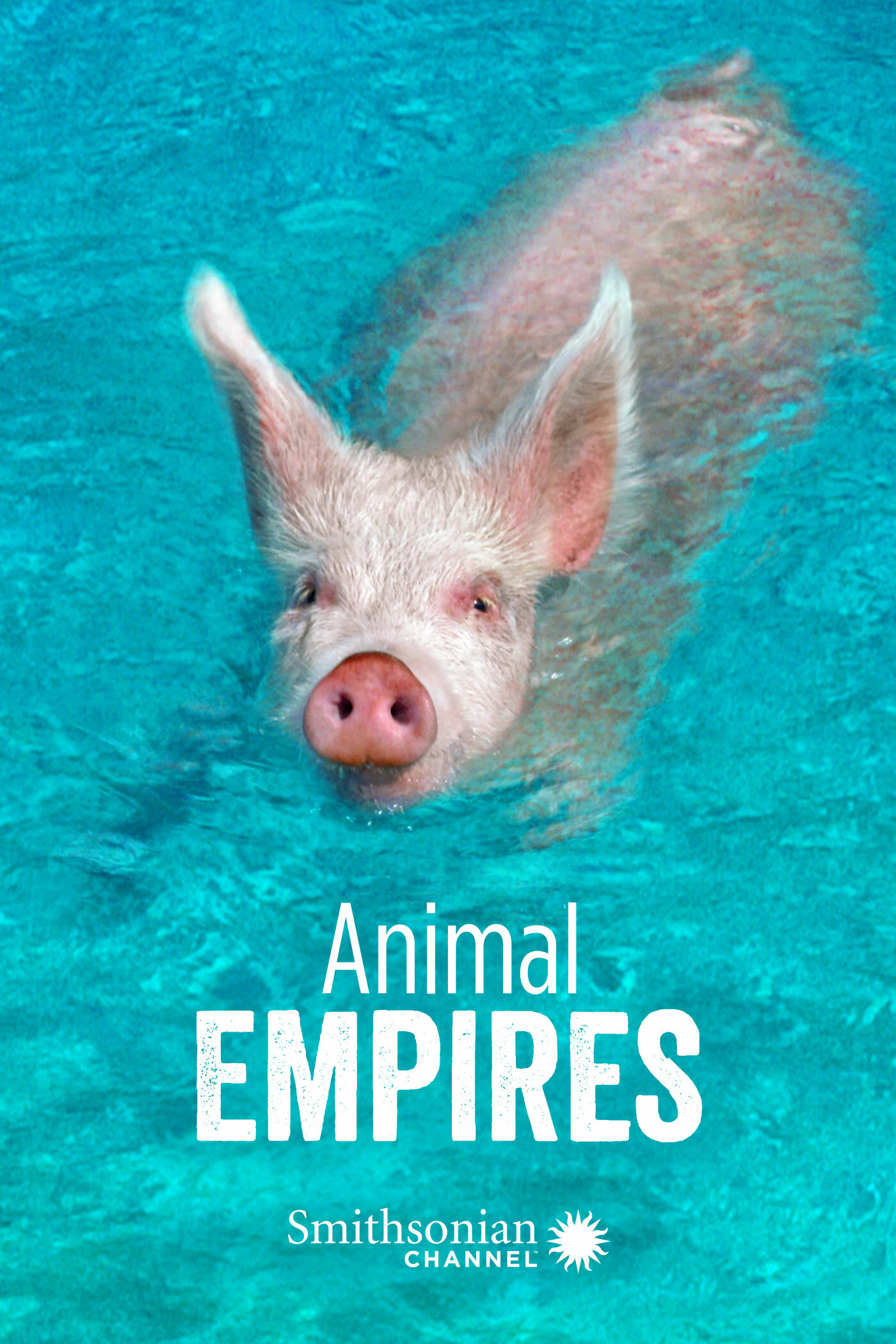 Animal Empires ne zaman