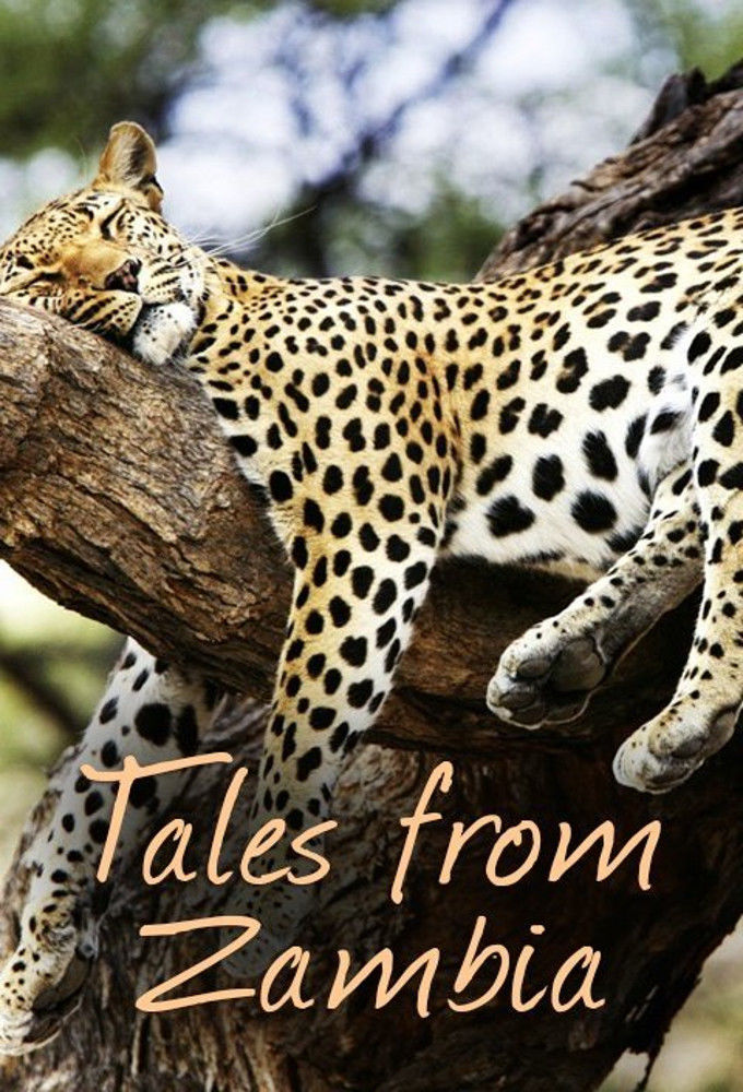 Tales from Zambia ne zaman