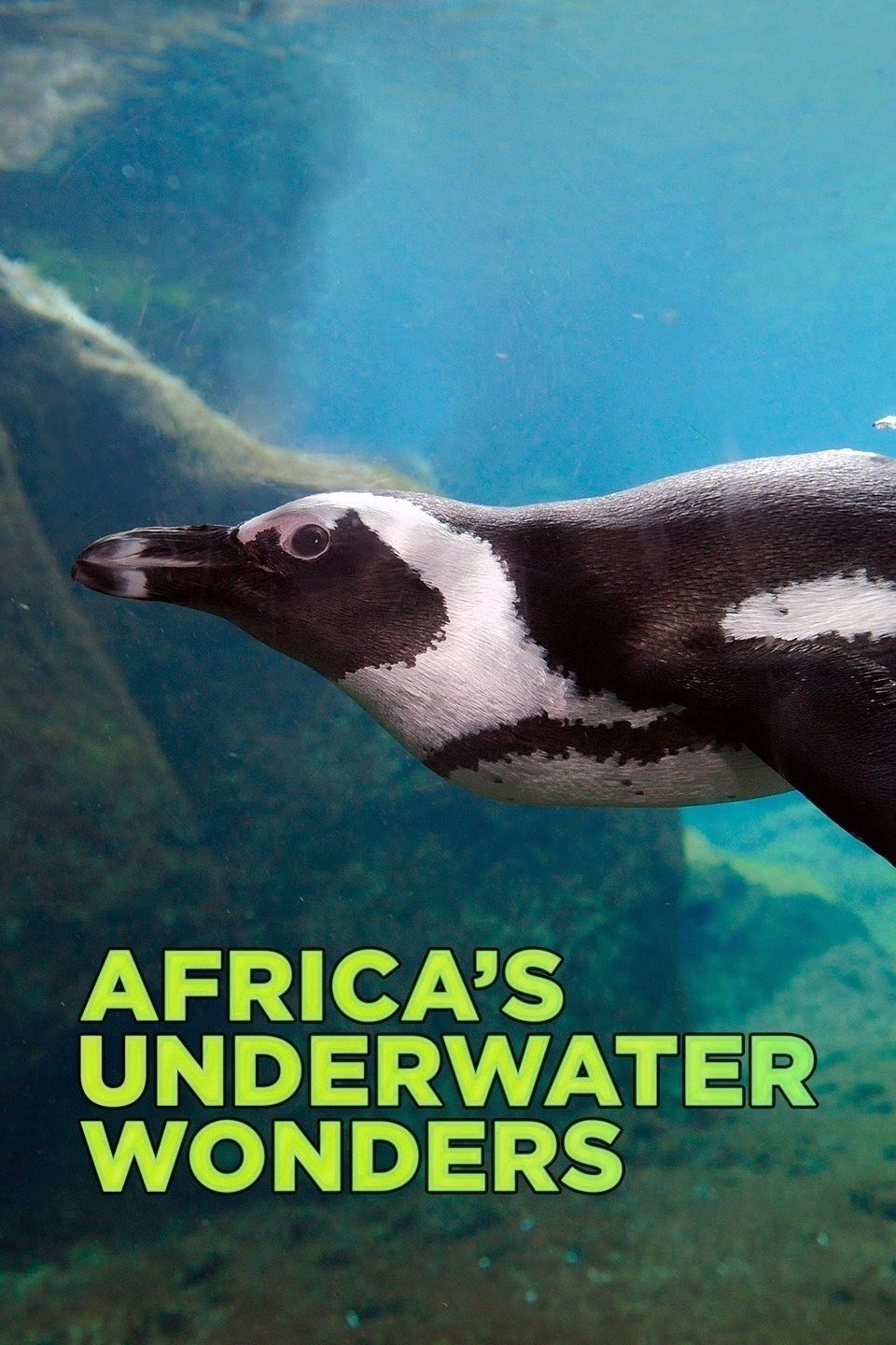 Africa's Underwater Wonders ne zaman