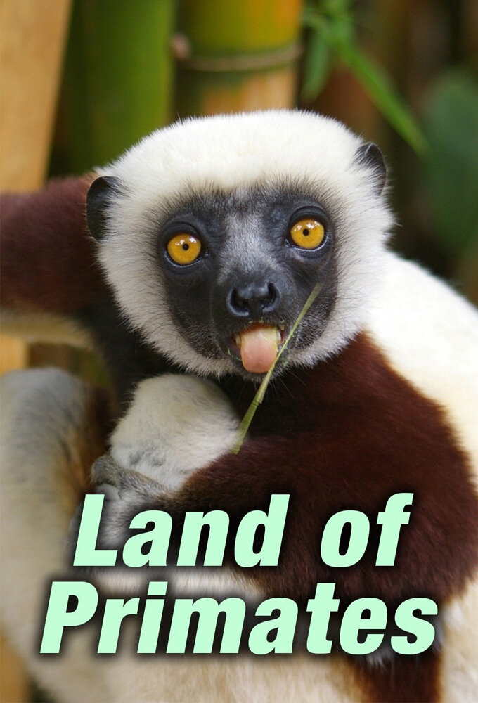 Land of Primates ne zaman