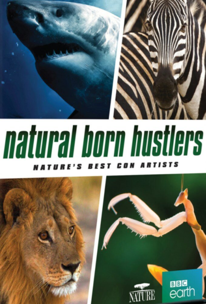 Natural Born Hustlers ne zaman