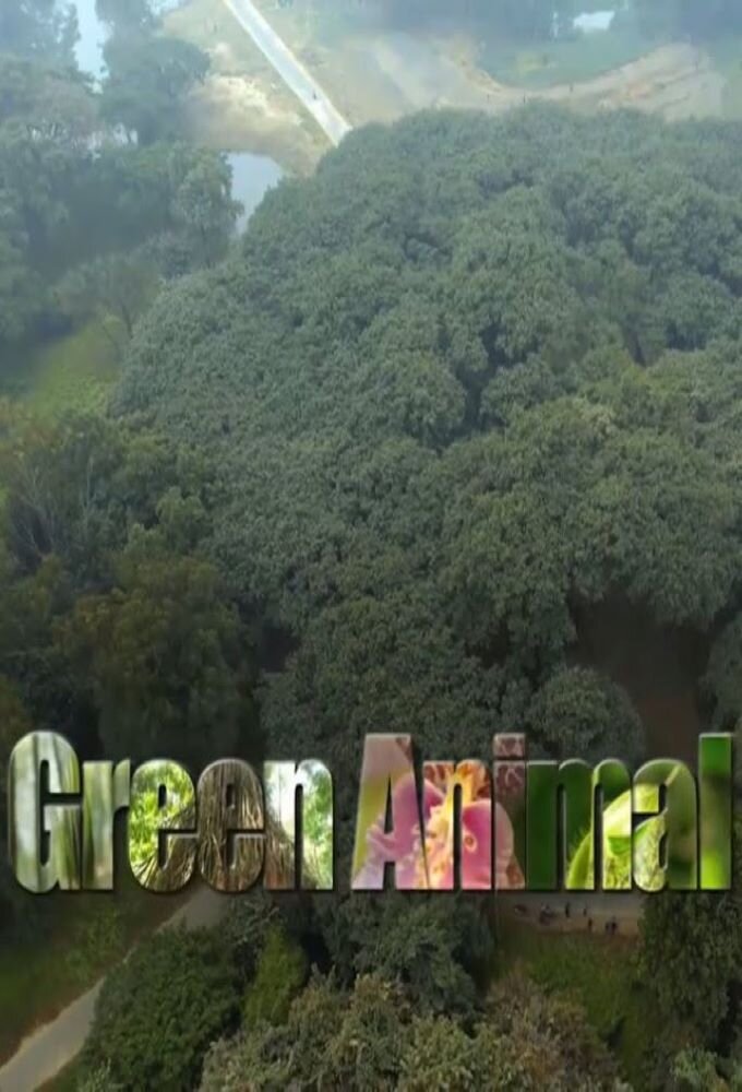 Green Animal ne zaman