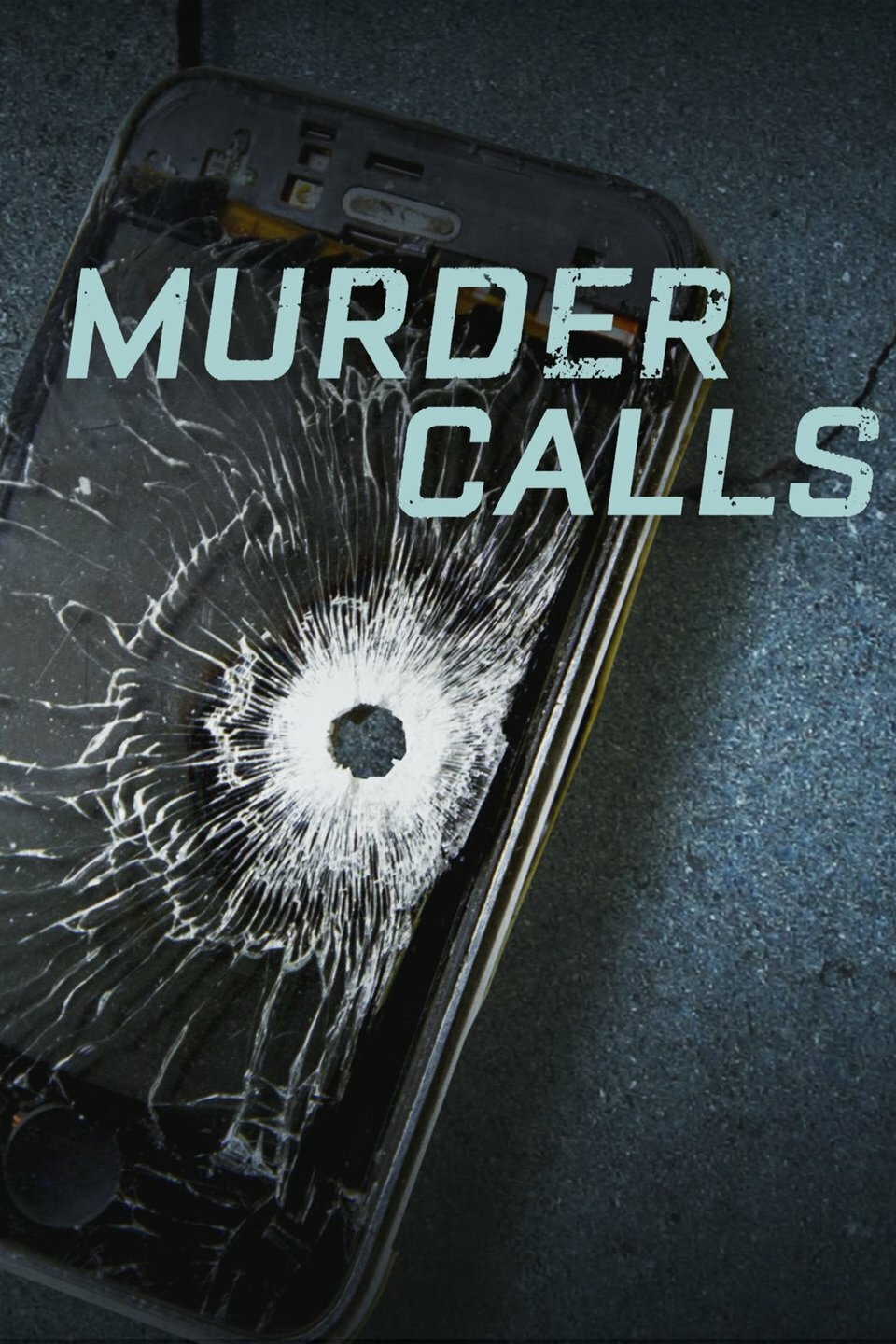 Murder Calls ne zaman