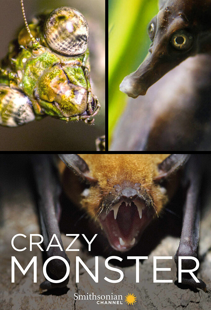Crazy Monster ne zaman
