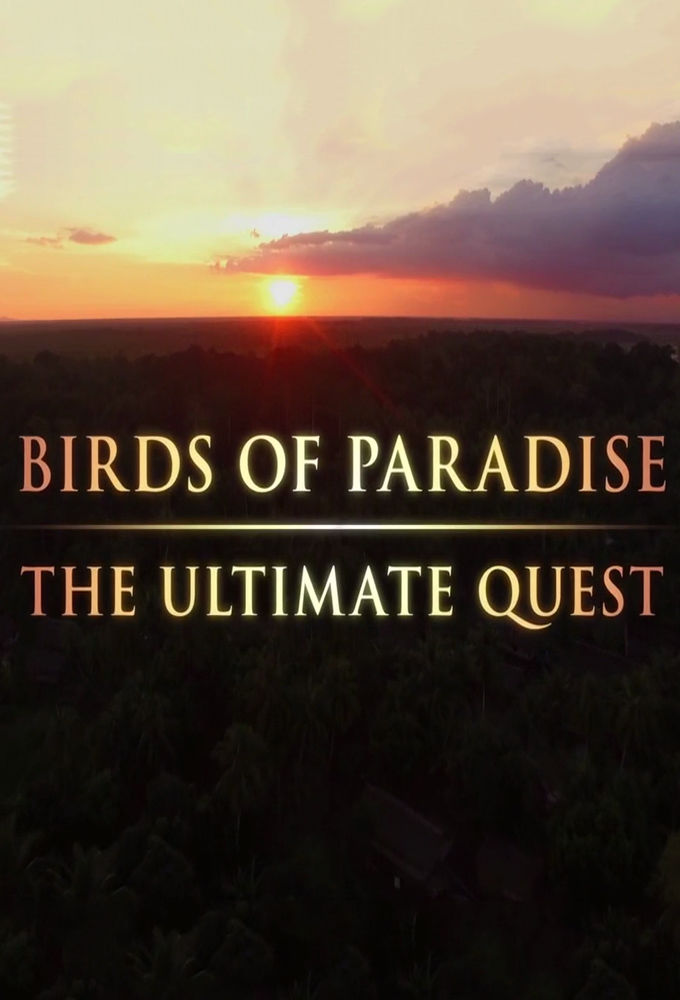 Birds of Paradise: The Ultimate Quest ne zaman