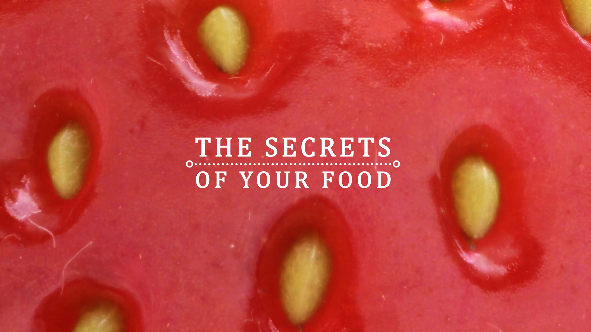 The Secrets of Your Food ne zaman