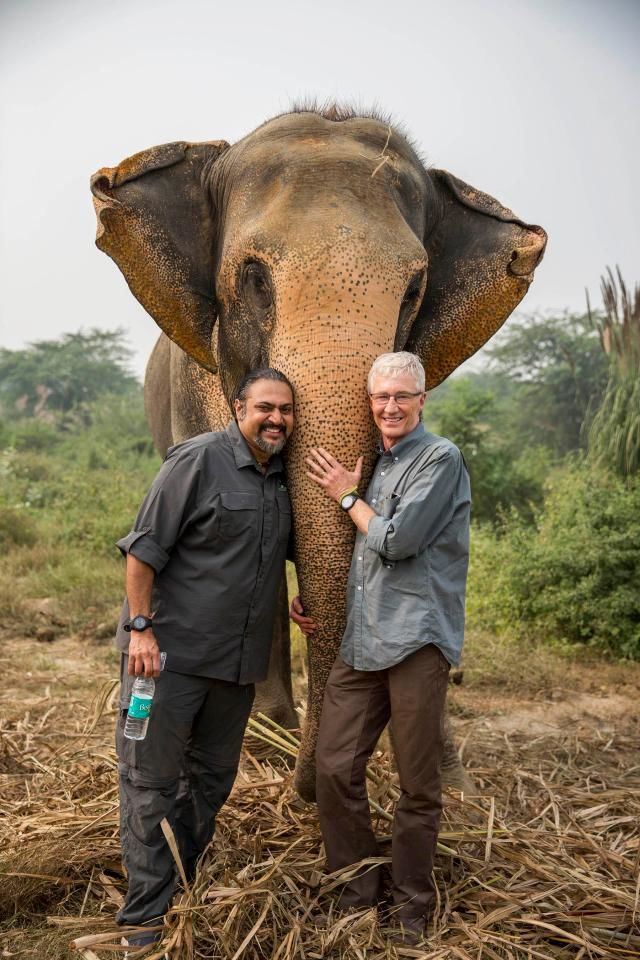 Paul O'Grady: For the Love of Animals - India ne zaman