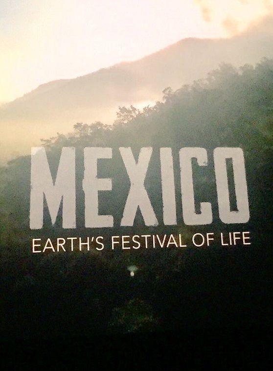 Mexico: Earth's Festival of Life ne zaman