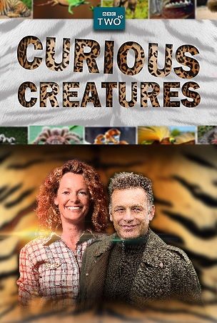 Curious Creatures ne zaman