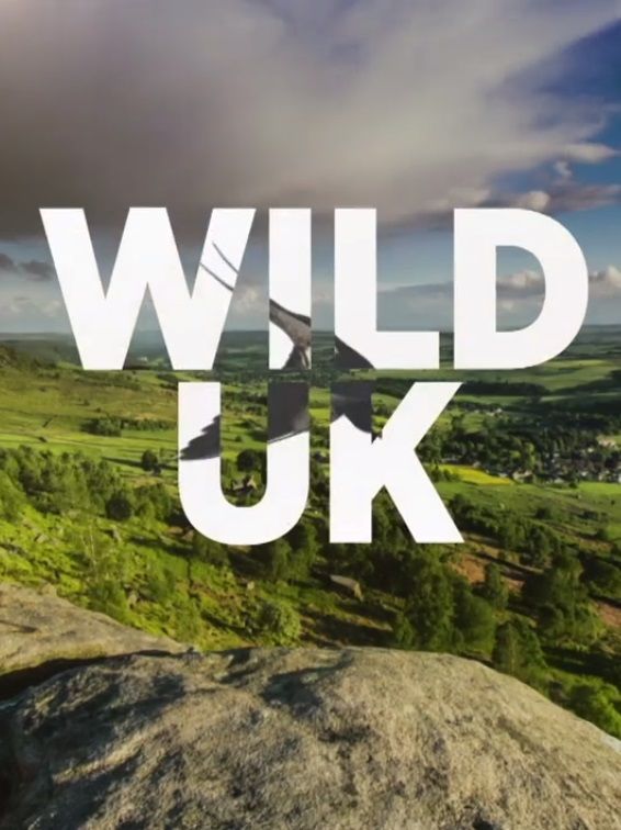 Wild UK ne zaman