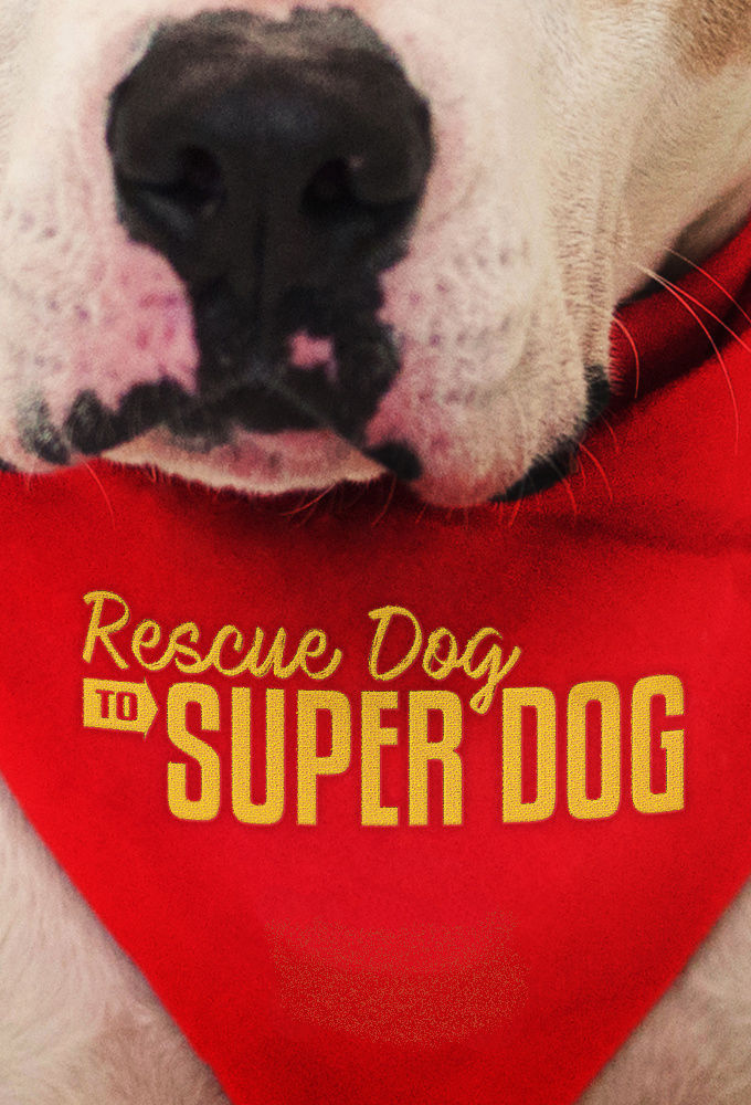 Rescue Dog to Super Dog ne zaman