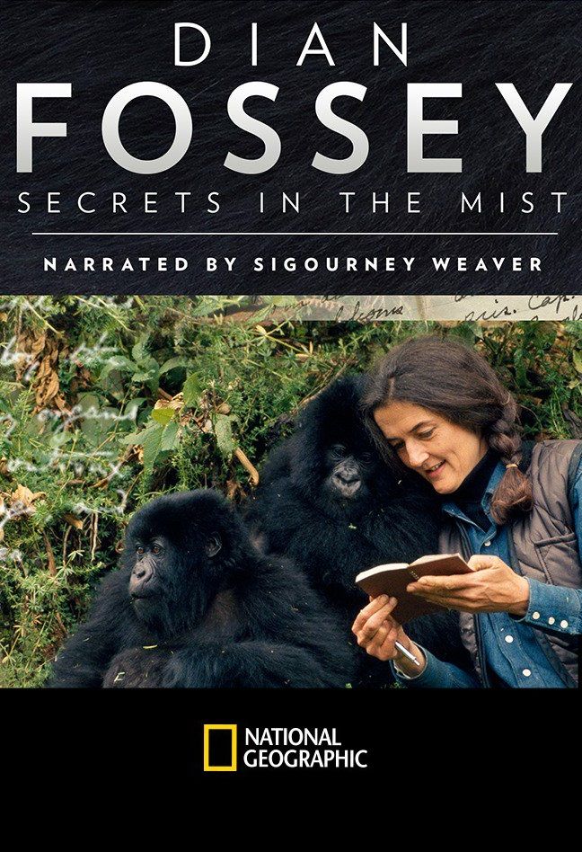 Dian Fossey: Secrets in the Mist ne zaman