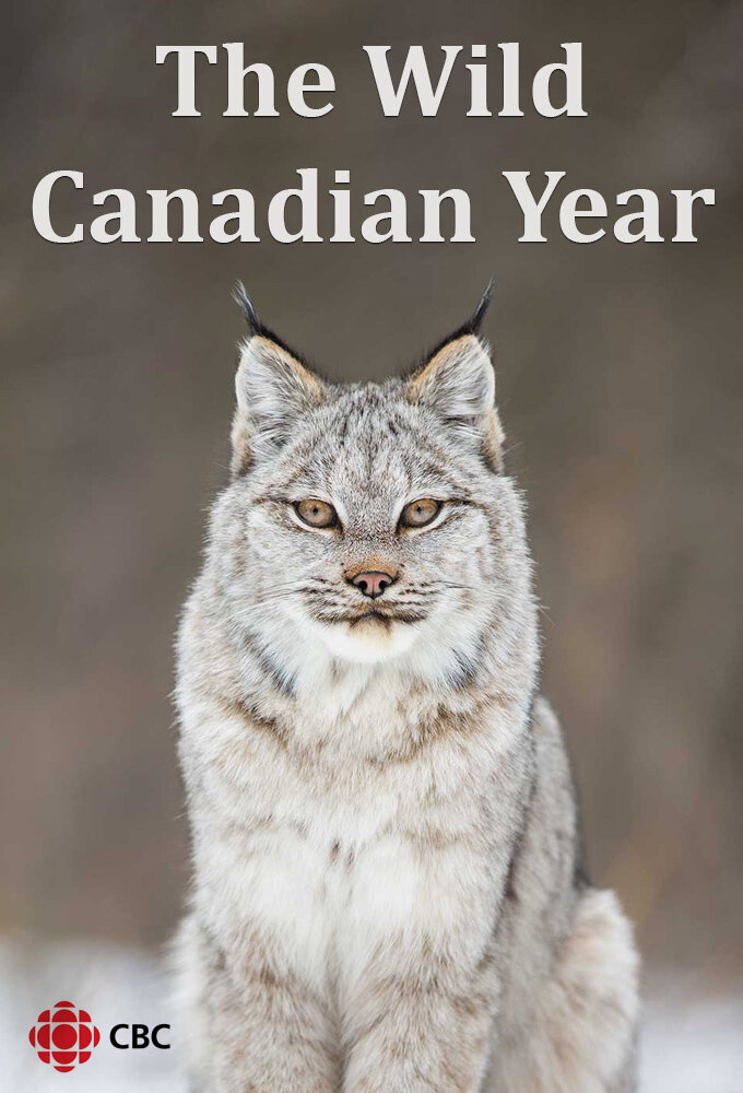 The Wild Canadian Year ne zaman
