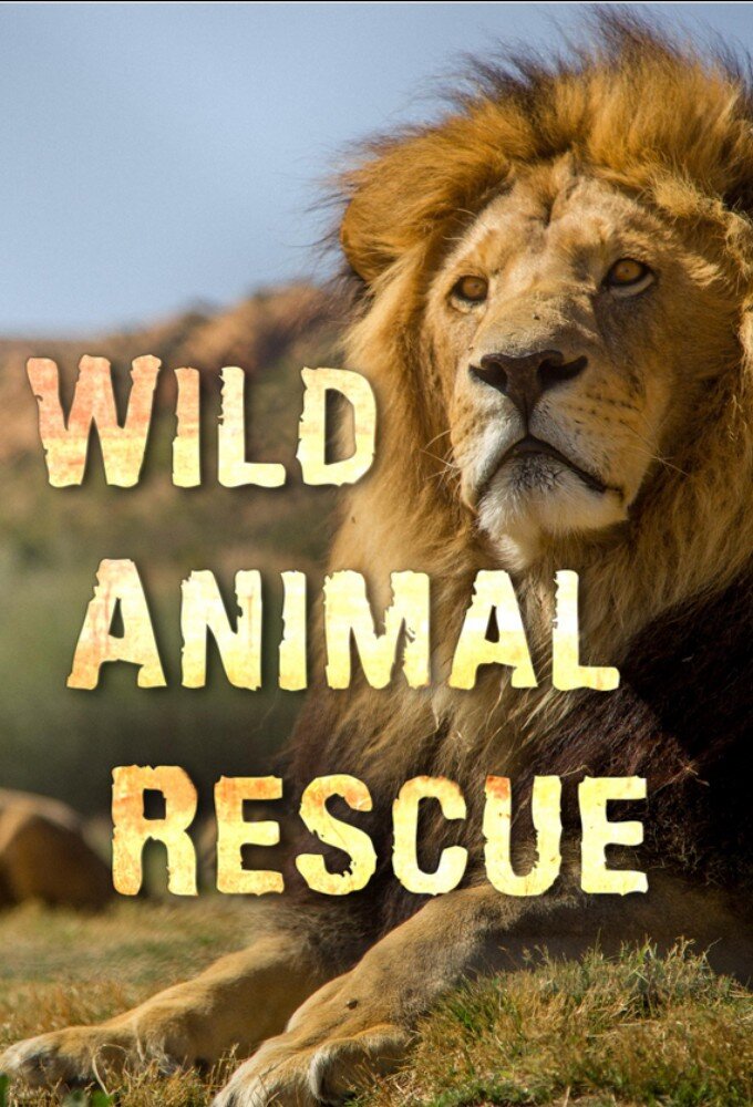 Wild Animal Rescue ne zaman
