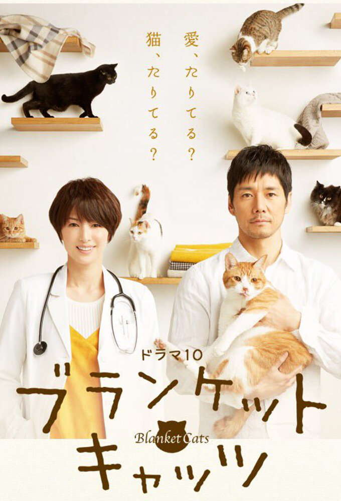 Blanket Cats ne zaman