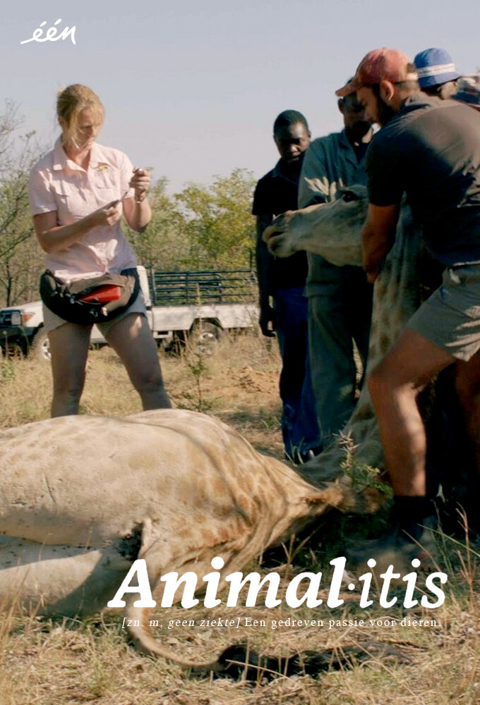 Animalitis ne zaman