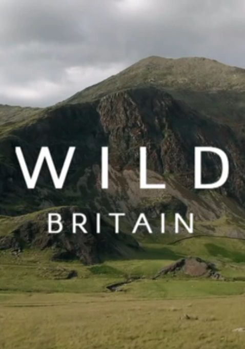 Wild Britain ne zaman