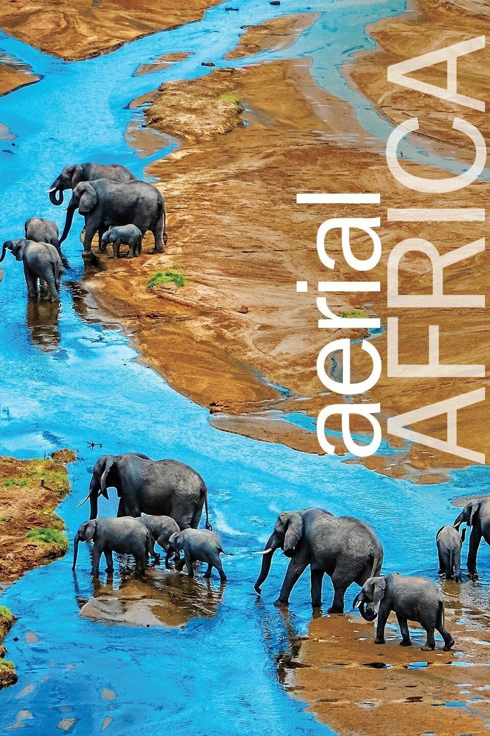 Aerial Africa ne zaman