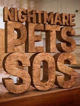 Nightmare Pets SOS ne zaman