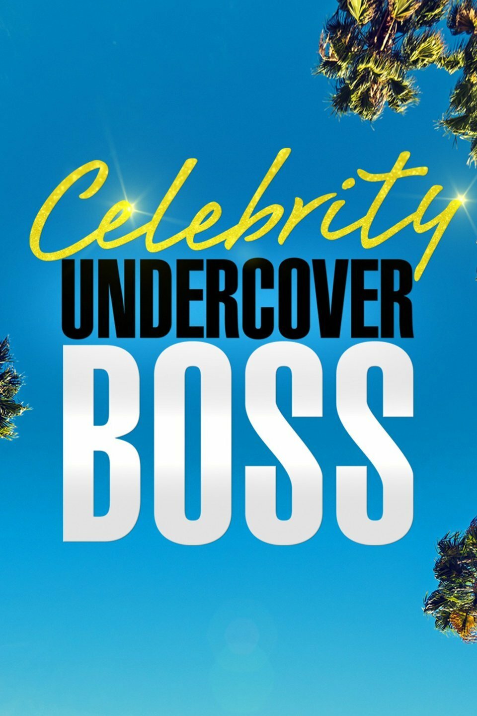 Undercover Boss: Celebrity Edition ne zaman
