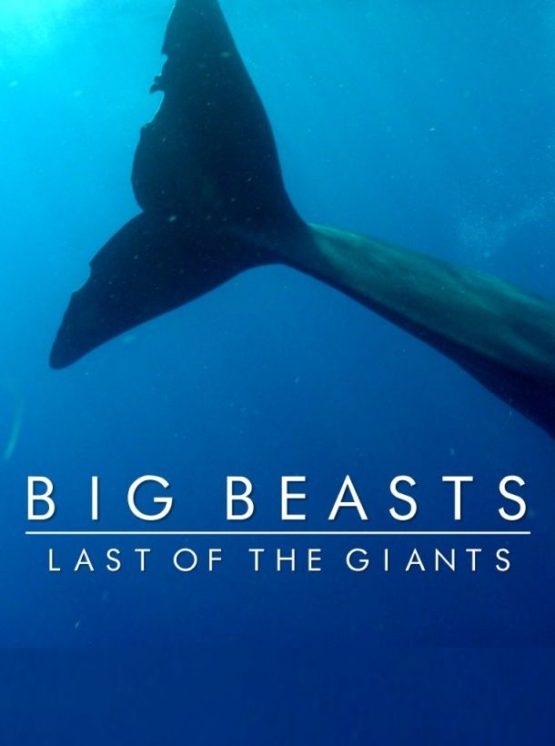 Big Beasts: Last of the Giants ne zaman
