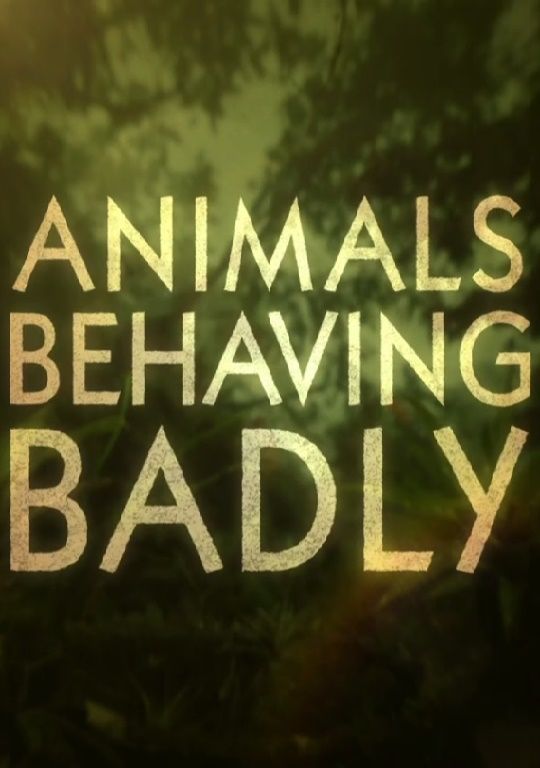 Animals Behaving Badly ne zaman