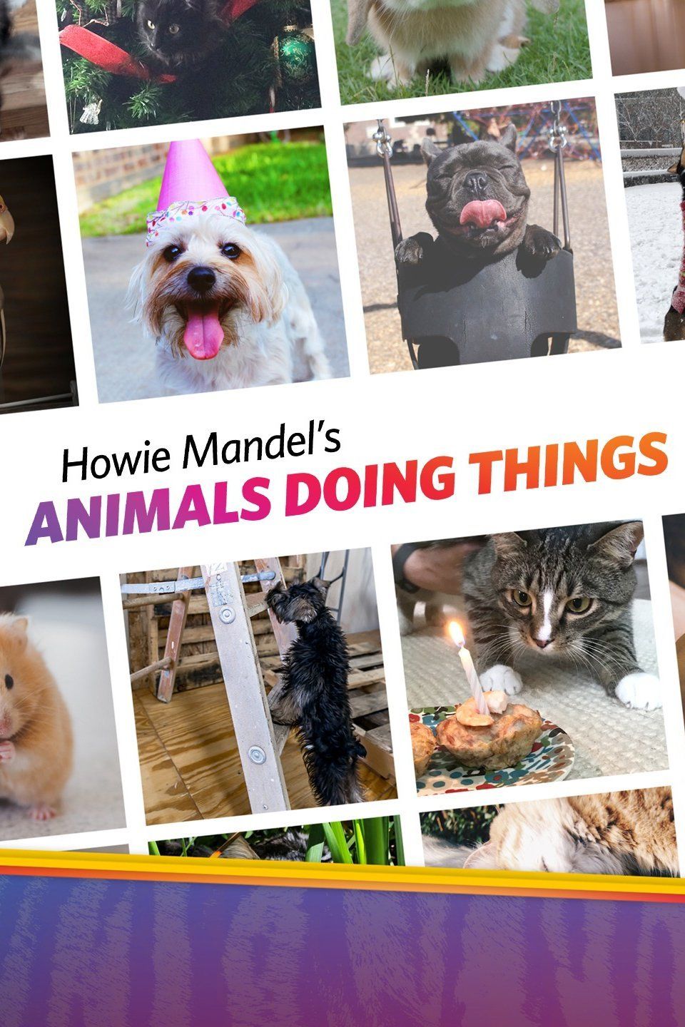 Howie Mandel's Animals Doing Things ne zaman