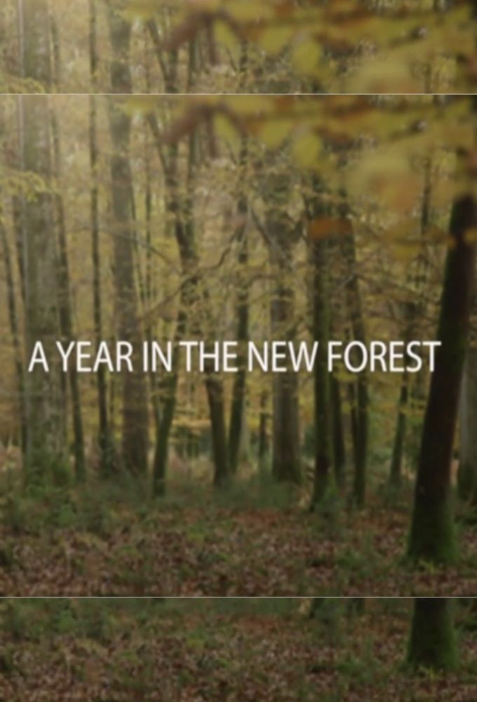 A Year in the New Forest ne zaman