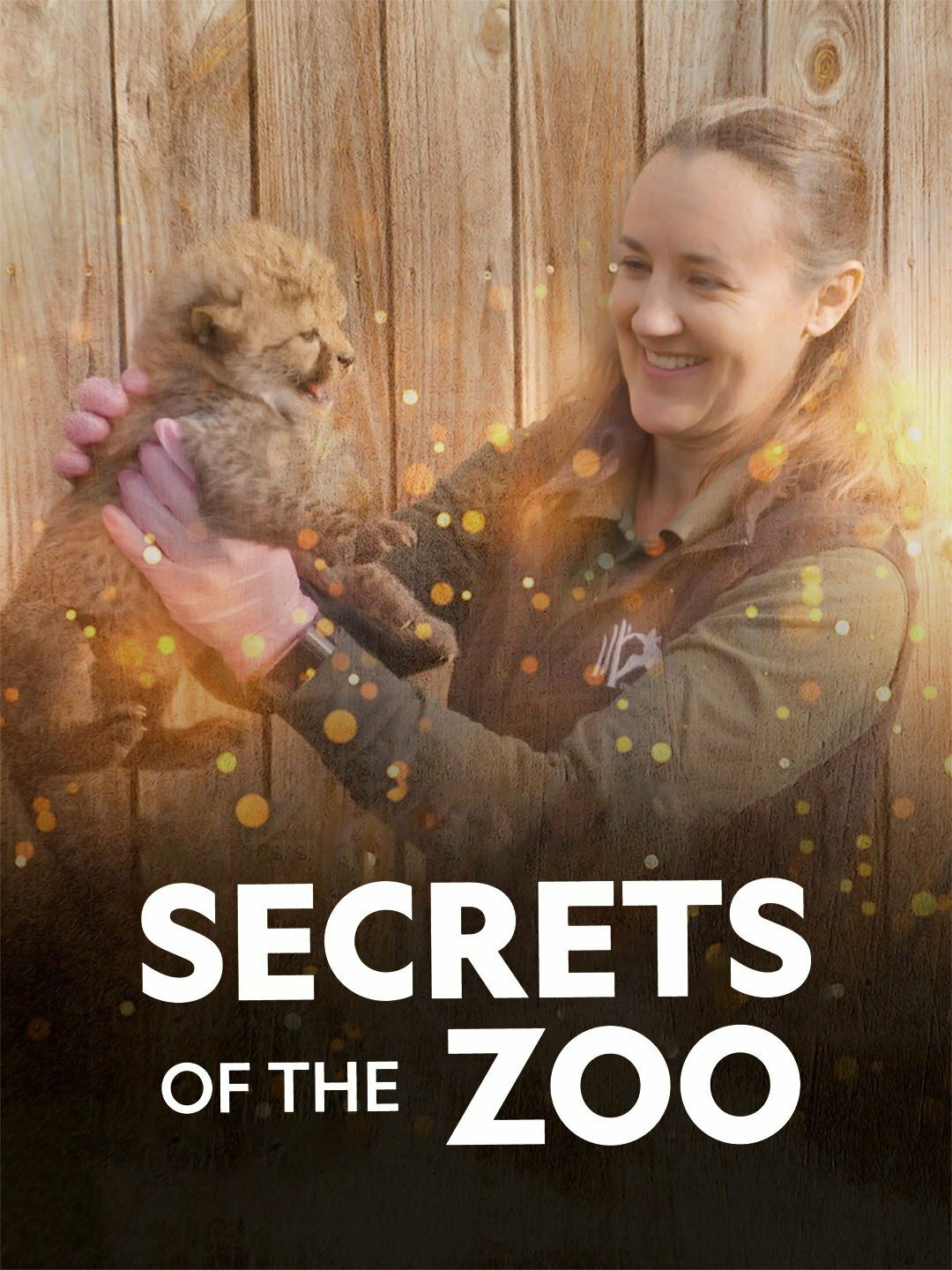 Secrets of the Zoo ne zaman