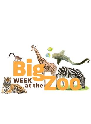 Big Week at the Zoo ne zaman