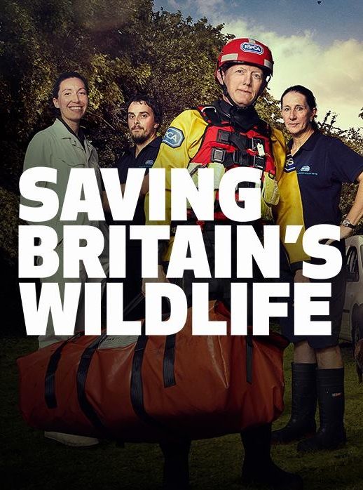 Saving Britain's Wildlife ne zaman