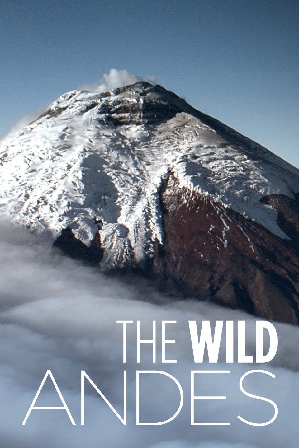 The Wild Andes ne zaman