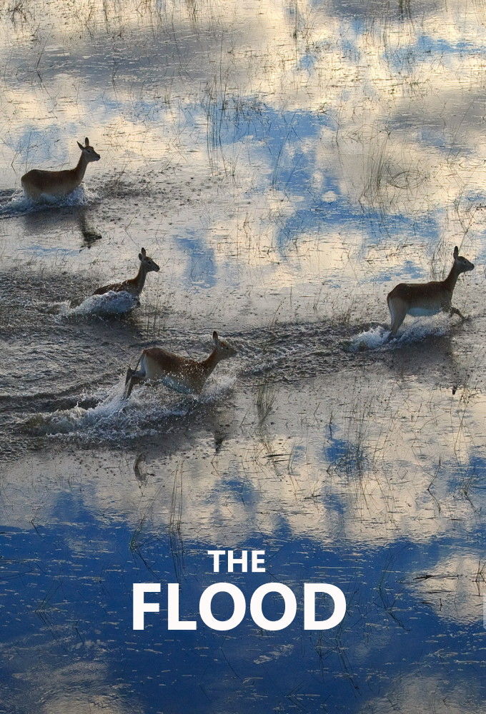 The Flood ne zaman