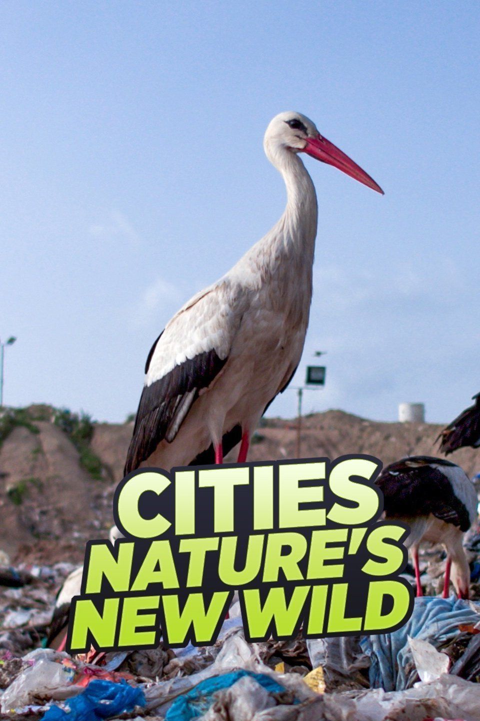 Cities: Nature's New Wild ne zaman