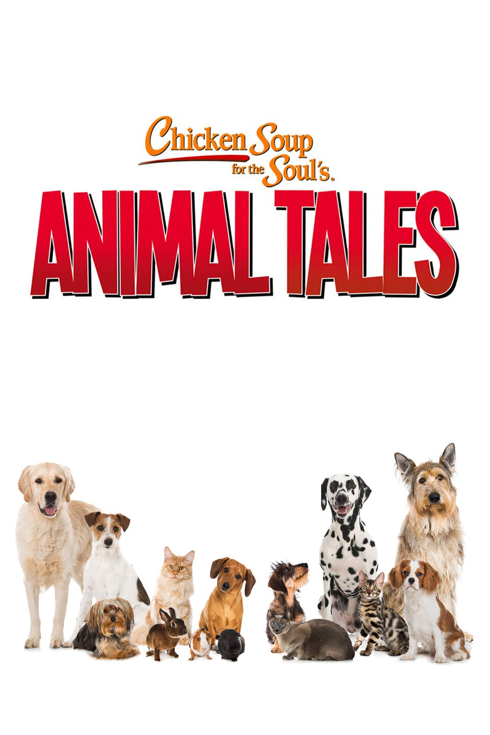 Chicken Soup for the Soul's Animal Tales ne zaman