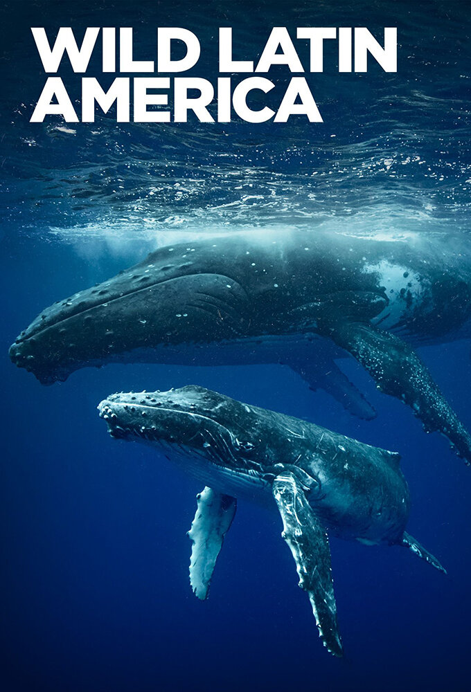Wild Latin America ne zaman
